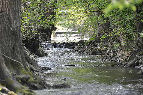 Umgebung im Wienerwald