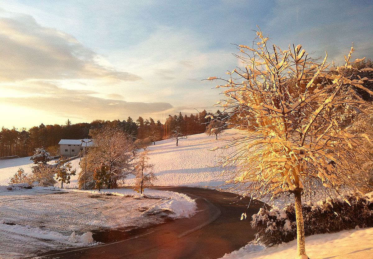 Winterlandschaft Wienerwaldhof