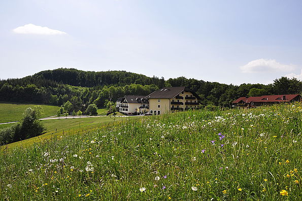 Wienerwaldhof im Günen