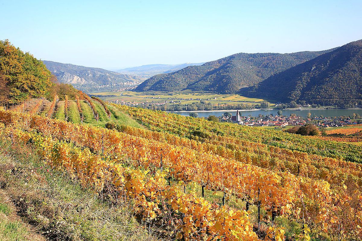 Ausflüge in die Wachau