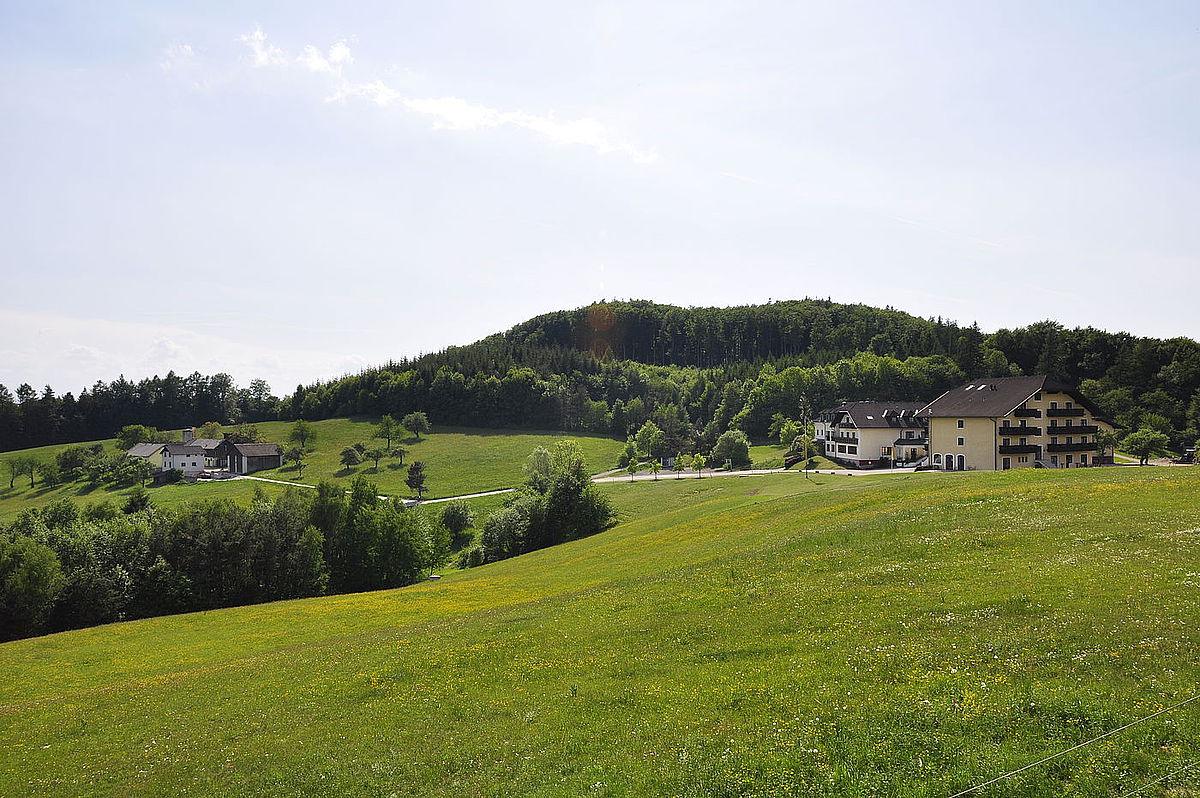 Hotel Wienerwaldhof im Grünen